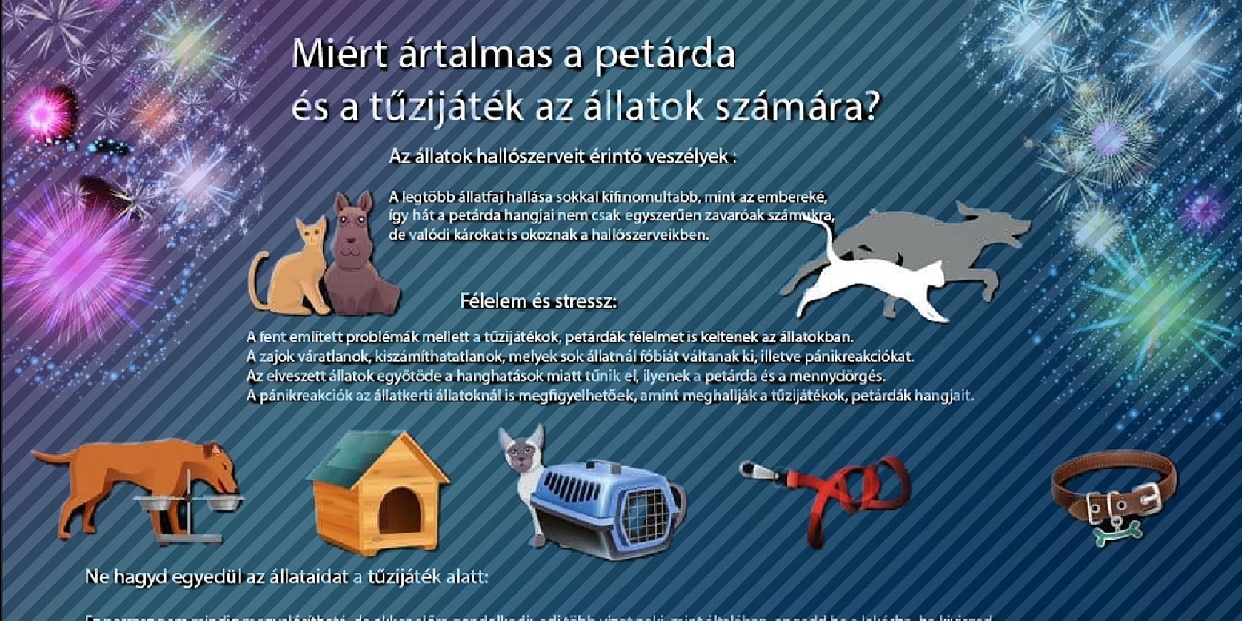 Szilveszteri állatmentő ügyelet pomázi önkéntesei