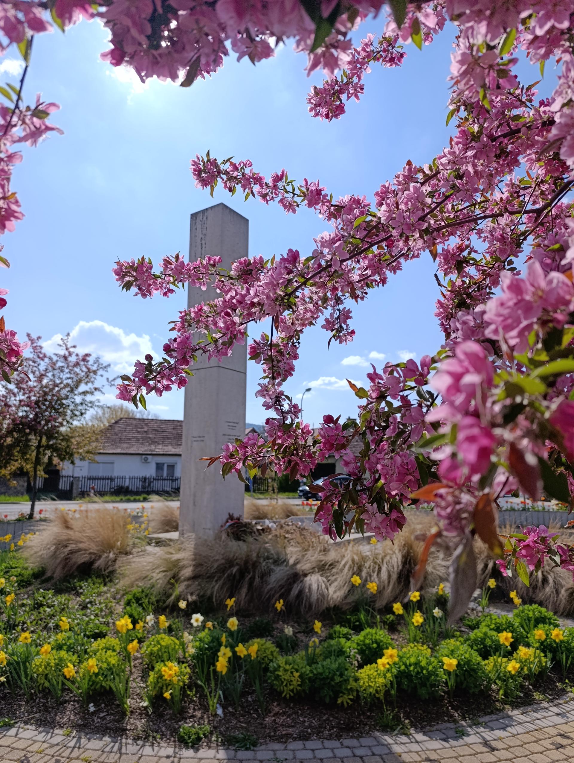 Költészet napja 2026